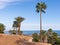 Sea view in Benalmadena, a resort on the Costa del Sol near Malaga. Andalusia, Spain. Roofs, palm trees, beach