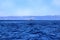 Sea view. Mountain view. View on Albania mointains. Beautiful Ionian dark blue sea. Lonely little rock in the middle of the sea