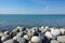 Sea view. Pebble beach with large stones