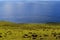 Sea view from the slopes of volcano Terevaka, Rapa Nui Easter Island