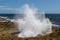 Sea water erupting from the blow hole