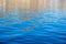 Sea water surface calm with small ripples. Still ocean, deep blue color background