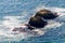 Sea wave breaks on beach rocks landscape. Sea waves crash and splash on rocks. Beach rock sea wave breaking