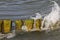 Sea wave overflow through a wooden groyne