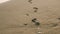 Sea wave rolls ashore Human footprints in the sand close-up sunrise or sunset time, low angle view, slow motion camera