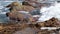 Sea waves break on dangerous rocks on the seashore