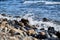 Sea waves break on shingle beach. Small wave rolls onto shore and splash of foam flies in different directions. Beautiful marine