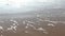 Sea waves forming white foam on the sandy beach