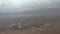 Sea waves forming white foam on the sandy beach