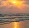 Sea waves and seagull flies against the background of setting sun