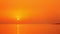 Sea windsurfers on the orange sunset