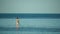 Sea woman sup. Silhouette of happy middle aged woman standing, surfing on SUP board, confident paddling through water