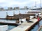 sea â€‹â€‹lions lie on a boat pier Marina Del Rey Los Angeles