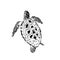 sea â€‹â€‹turtle swimming upward black lines