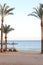 sea â€‹â€‹view from a sandy beach in the tropics, green palms