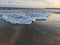 sea â€‹â€‹water rising on the sand on the shore of the beach in the sunset