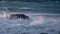 Sea â€‹â€‹wave at sunset hitting  rock on the beach