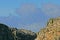 Seabird colony at the Bounty Islands, Subantarctic Islands