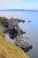 Seabird colony on coastal cliffs
