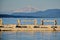 Seabirds in BC; Sailboat, San Juan`s & Mt Baker, Washington