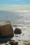 Seabirds - cormorants resting on the edge of a cliff above the sea