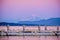 Seabirds and Mount Baker. Gorgeous pink evening light, Sydney, BC