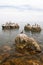 Seabirds on rocks in sea