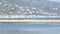 Seabirds on the sandbar between the Malibu Lagoon and Pacific Ocean