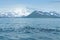 Seabirds are swimming in the ocean against a backdrop of a snowcapped volcano in Kamchatka Peninsula, Russia