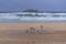 Seabirds taking flight from a beach during a storm