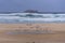 Seabirds taking flight from the beach during a storm