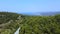 Seacoast covered by pine trees and roads and open sea behind. Aerial drone view