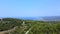 Seacoast covered by pine trees and roads and open sea behind. Aerial drone view