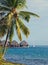 Seacoast with palm trees and small houses on water