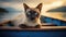 Seafaring Companion: Siamese Cat on a Boat Adventure