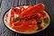 Seafood background. red lobster with fresh vegetable salad on a