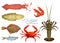 Seafood in cartoon style. Icons. Vector illustrations. Set squid, cuttlefish, crab, shrimp, spiny lobster, flounder fish