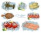 Seafood in cartoon style. Vector illustrations squid, cuttlefish, crab, shrimp, spiny lobster, flounder, sprat on ice