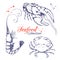 Seafood collection. hand drawn engraved seafood element in vintage style with ink splatter isolated on white. realistic outline