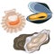 Seafood collection. Scallop, mussel and oyster isolated on white background. Vector graphics