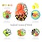 Seafood design set. Infographic food business