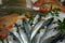 Seafood displayed on a fishmongers counter