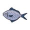 Seafood fresh fish menu gourmet icon isolated image