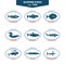 Seafood icons. Fish icons