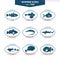 Seafood icons. Fish icons