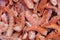 Seafood ingredients for best medditerrainean cuisine. Shrimp tails in pile close-up.