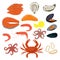 Seafood isolated on white, set of fresh ocean delicacies, oyster, prawn and shrimp, vector illustration