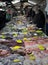 The seafood market in Europe. Fresh seafood, octopus, fish, mussels, oysters, scallops, delicacies of the Mediterranean sea.