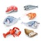 Seafood Products Set
