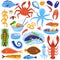 Seafood restaurant dish vector illustration flat set, cartoon fresh or cooked food, sea products collection, meals menu